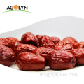 Nouveaux Dates Rouge Dates séchées Jujube séché à la vente